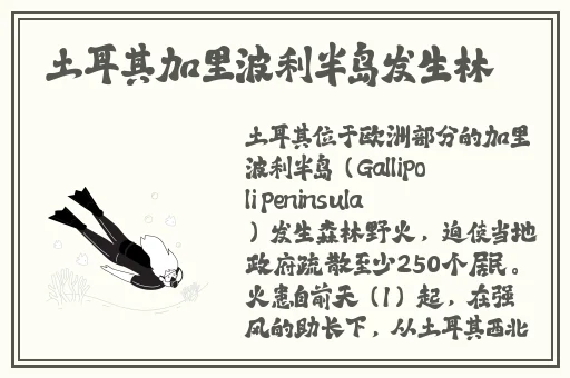 蜜中蜜3动漫第一集在线观看